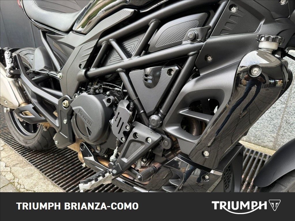 BENELLI 502 C abs E5